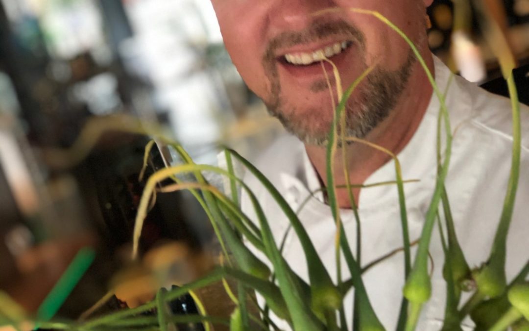 Hvitløksblomsten er en delikatesse